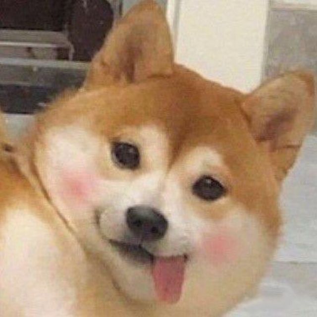 梅川苦茶子 avatar